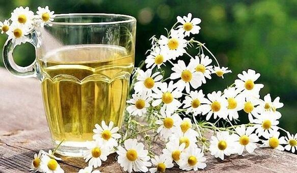 Té camile contra prostatitis